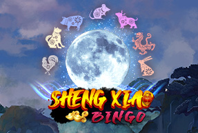 Joker / Sheng Xiao Bingo